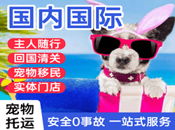 昭苏天马机场托运国际宠物托运 【国